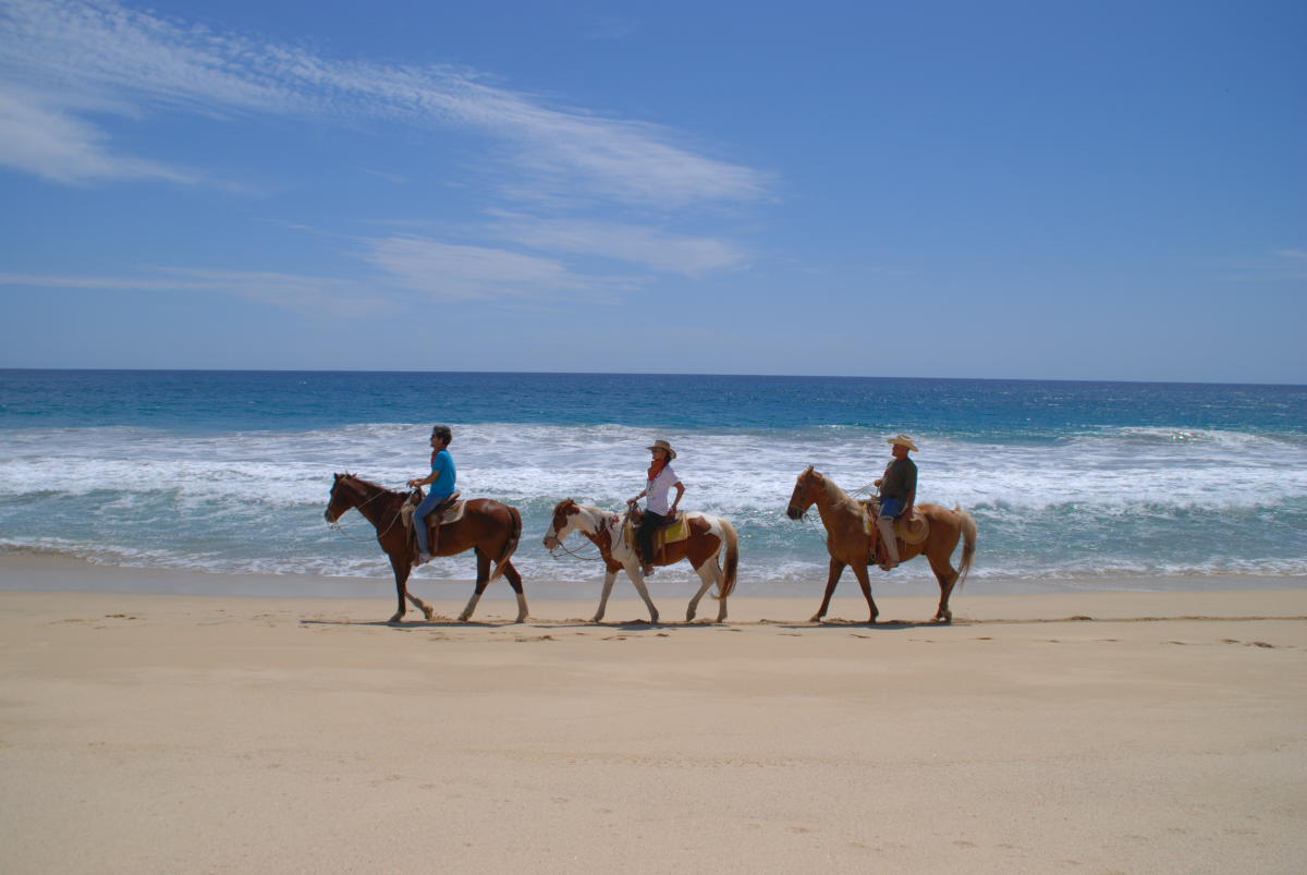 Horseback Riding on the Beach