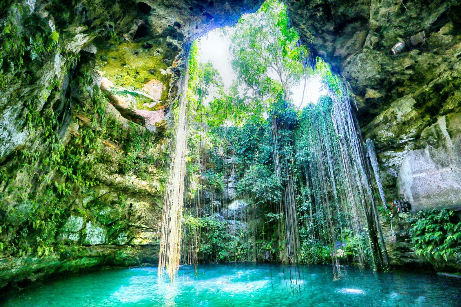 Swim in Cenotes